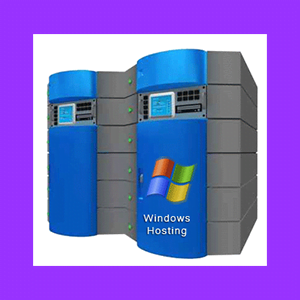 Windows Web Hosting - Tier 1